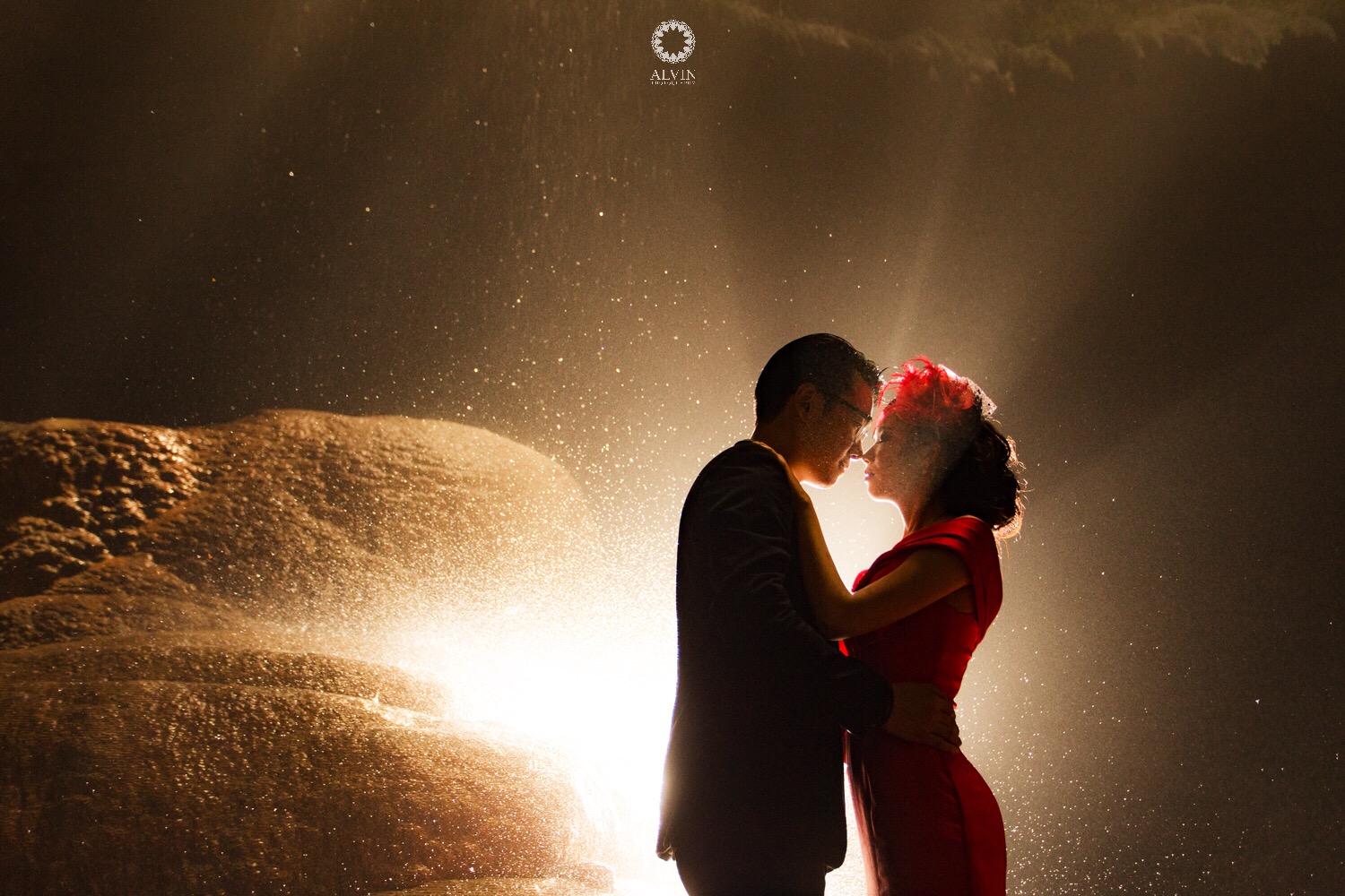 Image : Dancing in the Moonlight Image : Dancing in the Moonlight