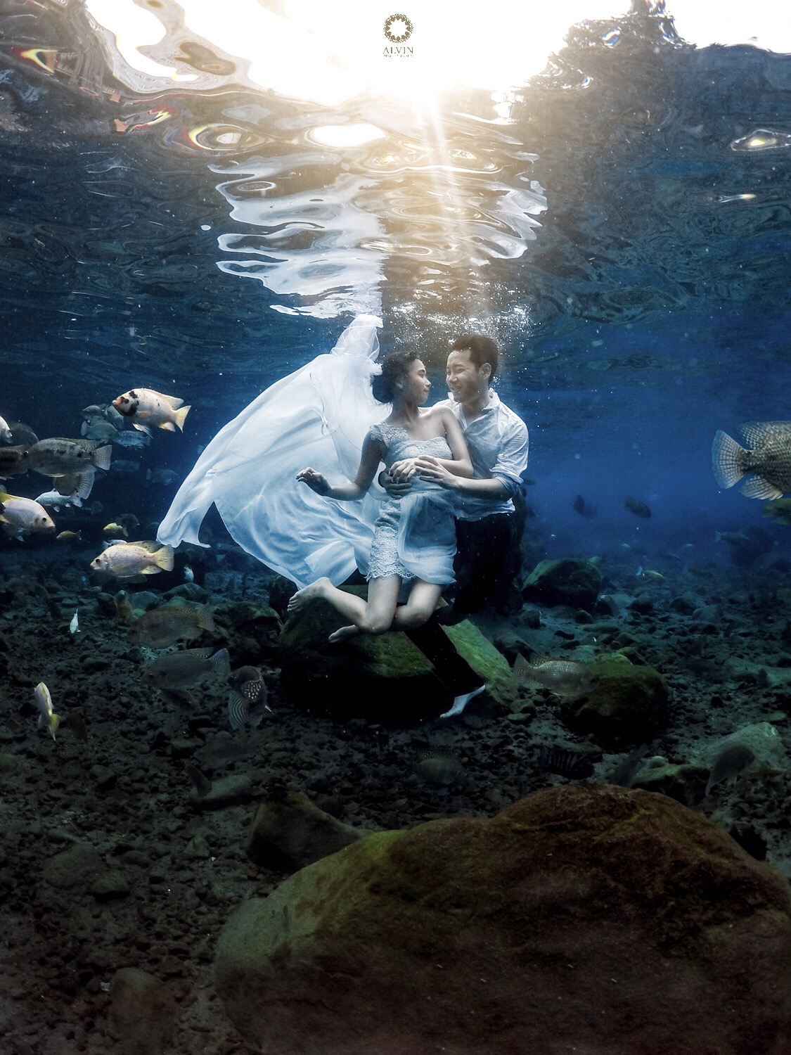Image : Dancing in the Moonlight Image : Dancing in the Moonlight